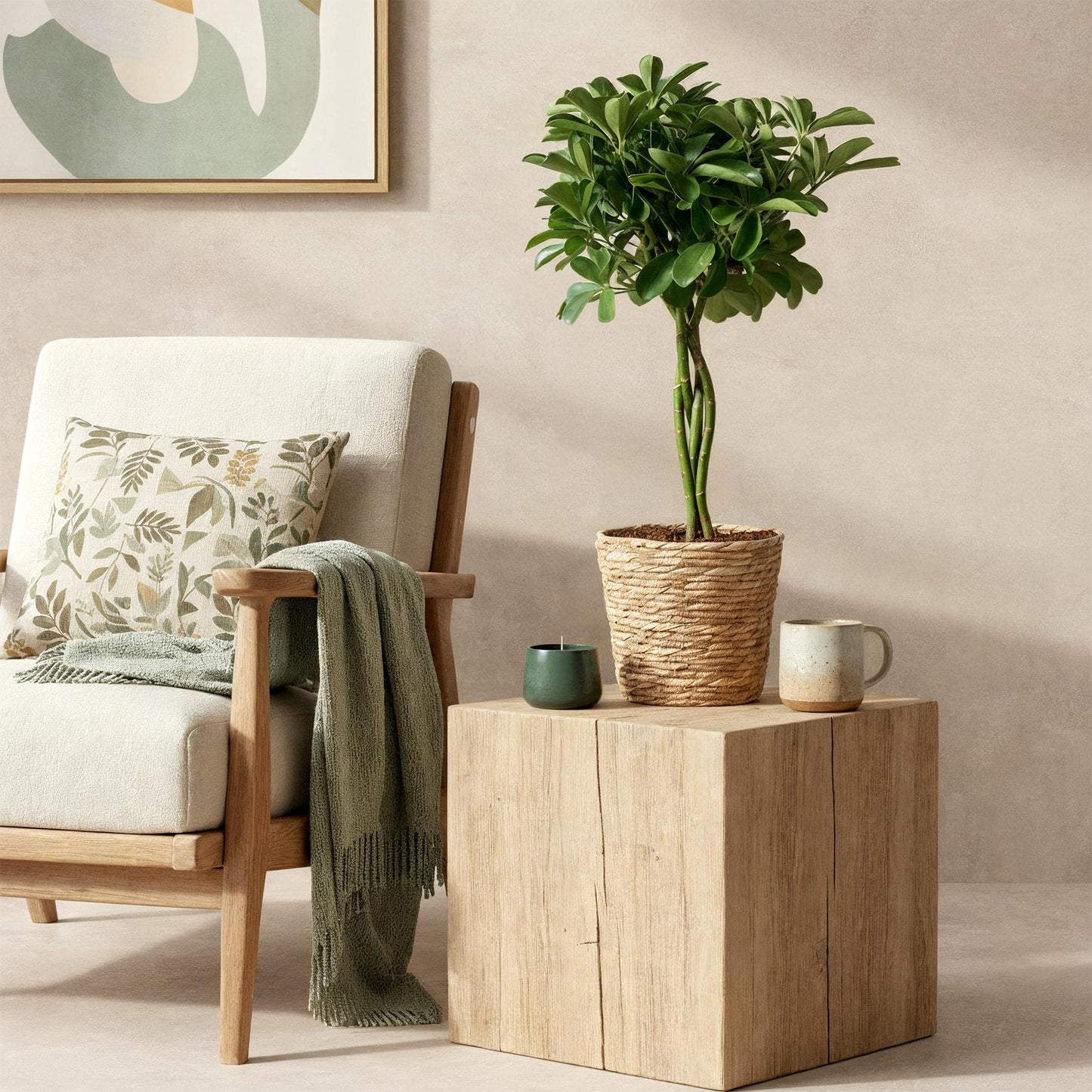 Schefflera Nora - Vingerboom - incl. mand - pot 21cm - hoogte 70-82cm