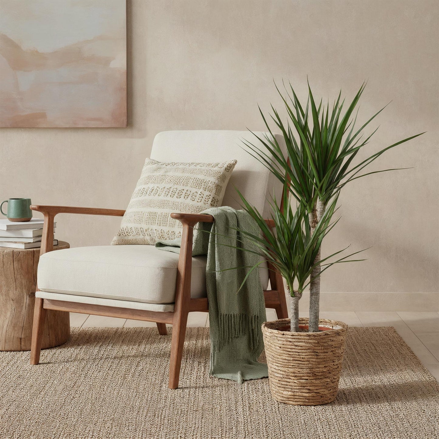 Dracaena Marginata - Drakenbloedboom - incl. mand - pot 21cm - hoogte 90-100cm
