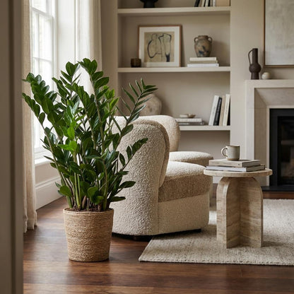 Zamioculcas Zamiifolia met Zeegras mand naturel  - 80cm - Ø21