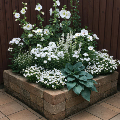 Green boutiQ - Borderpakket - Kleur Wit - 8 Vaste planten - 1 m2 - Diversen kleuren - Weinig Onderhoud - Pot 11cm