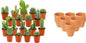 Mini Cactus Mix - 18 Stuks - Ø 8,1 cm - Hoogte: 5-10 cm - Terracotta Potten