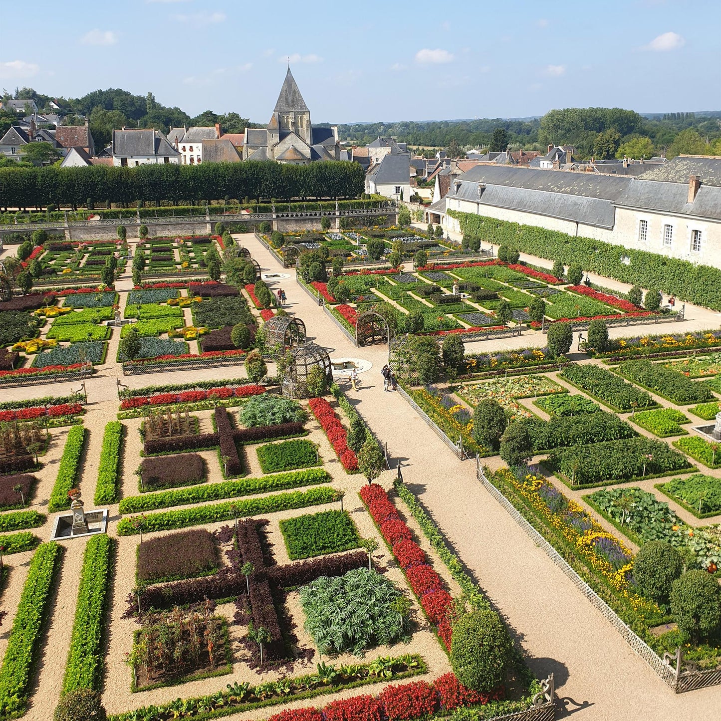 Buxus 'Babylon Beauty' - Resistant tegen de Buxus schimmel - 6 planten - 1 strekkende meter - pot 13cm hoogte 30-35