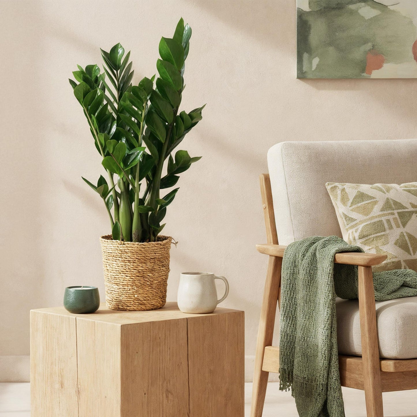Green BoutiQ - Green is... Kamerplanten - Zamioculcas - ZZ-plant - Weinig onderhoud - Groen - 1 Plant - Pot 17cm - Hoogte 65-75cm