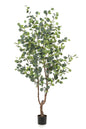 Kunstplant - Eucalyptus - Blauwe Gomboom  - 180 cm