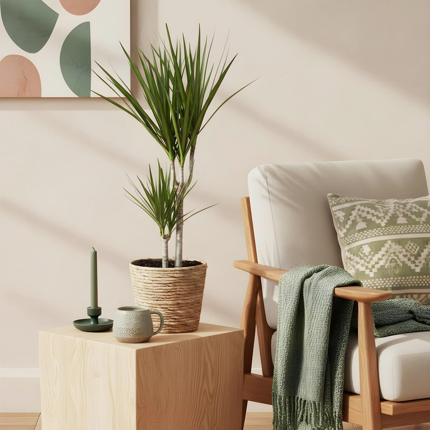 Green BoutiQ - Green is... Kamerplanten - Dracaena Marginata - Drakenbloedboom - Weinig onderhoud - met mand - Groen - 2 Planten - Pot 17cm - Hoogte 70-80cm