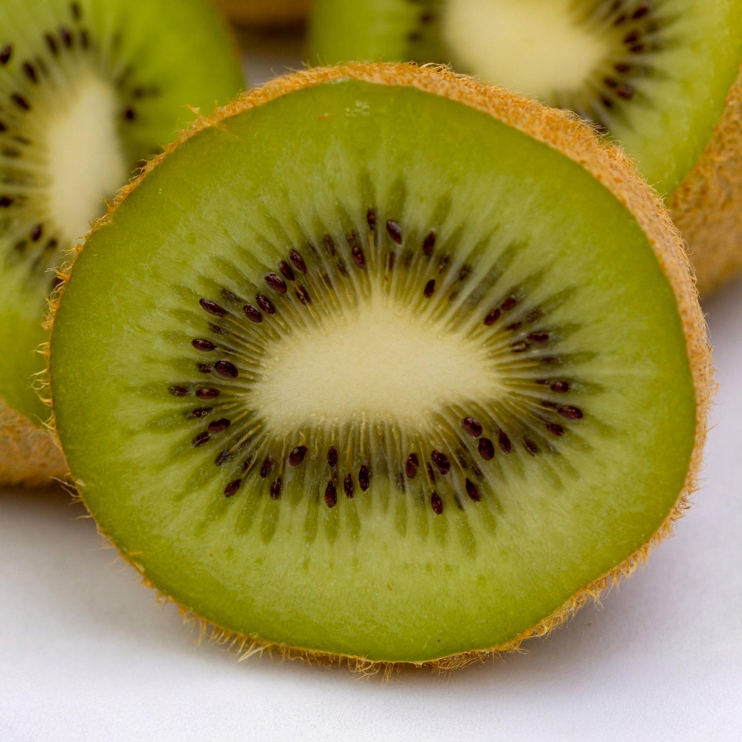 Actinidia deliciosa 'Jenny' - zelfbestuivende Kiwiplant