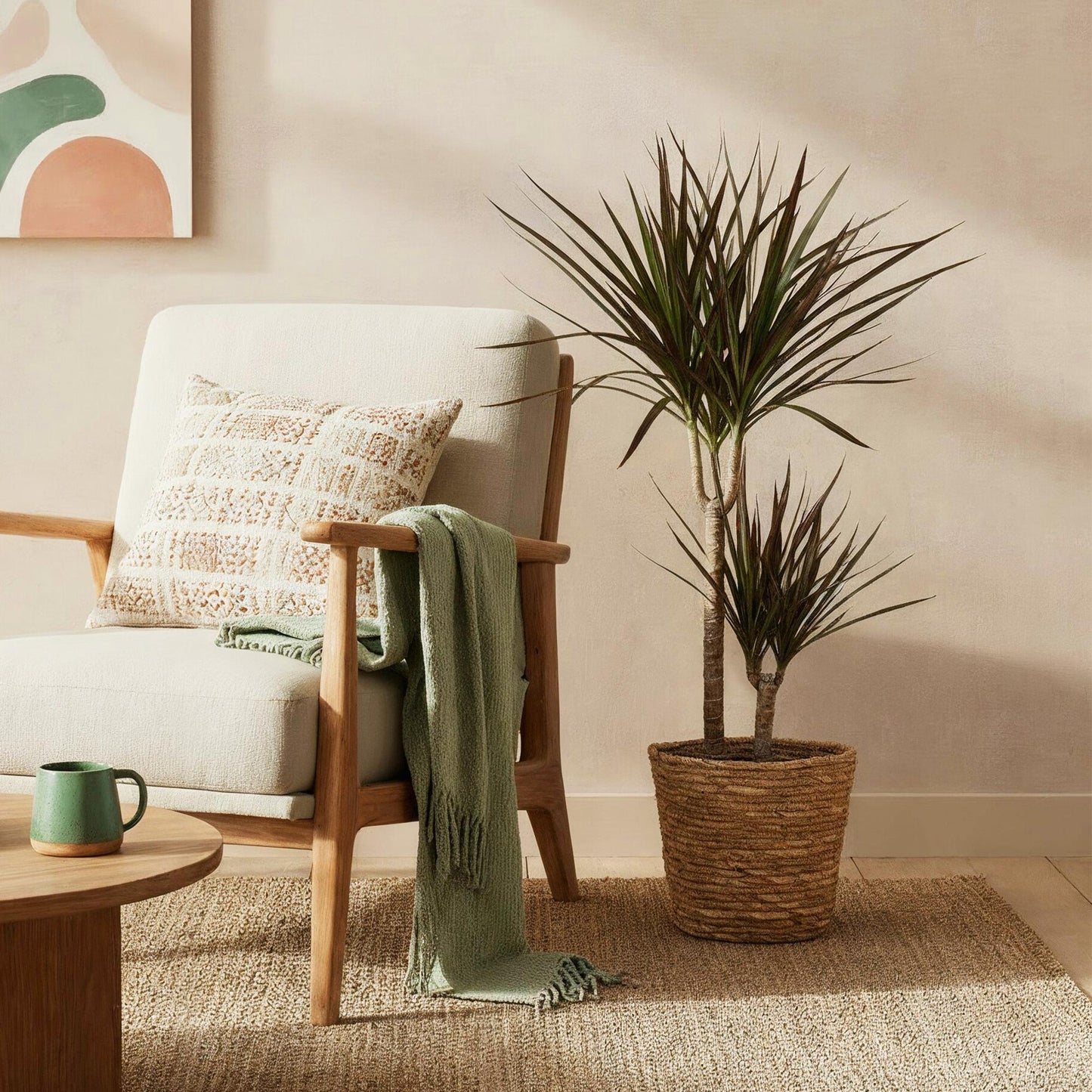 Dracaena Magenta - Drakenbloedboom - 1 plant - pot 21cm - hoogte 90-100cm