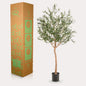 Kunst Olijfboom -  Olea europaea - Olijfboom - 180 cm