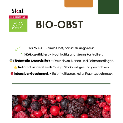 Biologische druivenplanten - 6 planten - Ø 13 cm - ↨ 20 cm