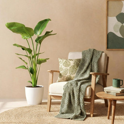 Green BoutiQ - Kamerplanten - Strelitzia Nicolai - Paradijsvogelbloem - Weinig onderhoud - Groen - 1 Plant - met Potter Wit - Pot 21cm - Hoogte 110-120cm