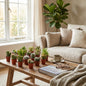 Mix van Echte Cactussen en Vetplanten - 6 Stuks - Ø 5,5 cm - Hoogte: 5-10 cm