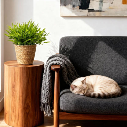 Green boutiQ - Kamerplant - Bamusa Pogonatherum Monica - Bamboegras - Huisdiervriendelijke Plant - Groen - 2 Planten - met Mand - Pot 12cm - Hoogte 20cm