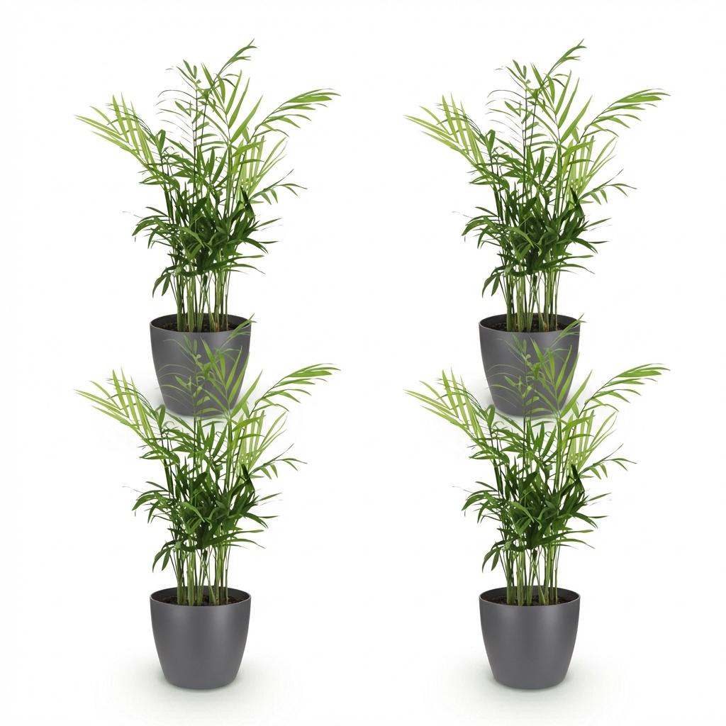 Green boutiQ - Kamerplant - Chamaedorea elegans - Goudpalm - Huisdiervriendelijke Plant - Groen - 4 Planten - met Potter Grijs - Pot 12cm - Hoogte 15cm