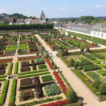 Green boutiQ - Buxus Haag - BetterBuxus Babylon Beauty - Resistant tegen de Buxus schimmel - 12 planten - 2 strekkende meter - pot 13cm hoogte 30-35